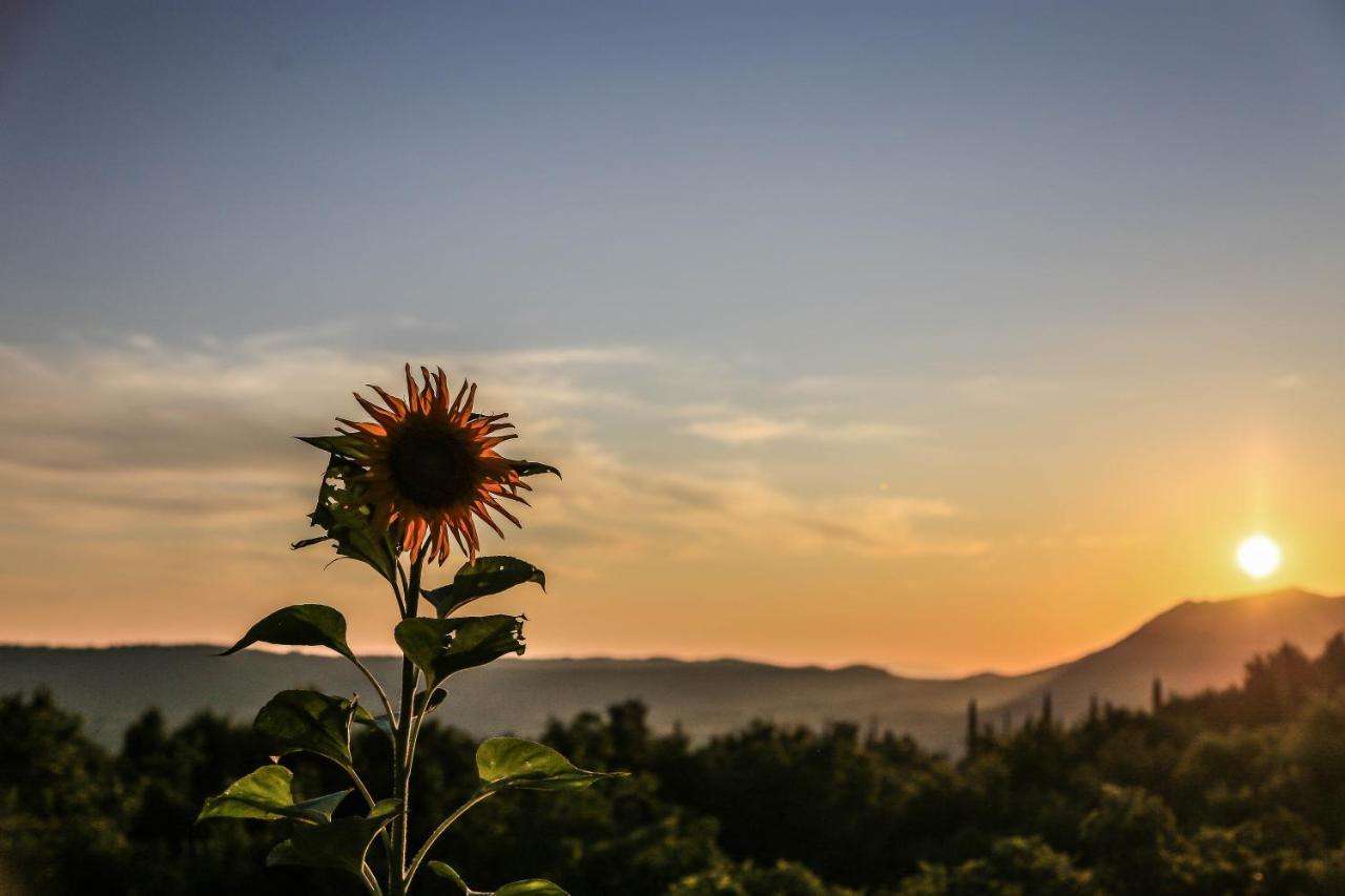 Rural Accommodation Veselic Pridvorje Εξωτερικό φωτογραφία